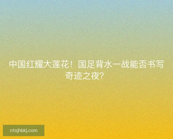 中国红耀大莲花！国足背水一战能否书写奇迹之夜？