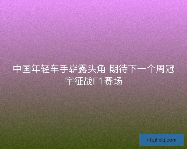 中国年轻车手崭露头角 期待下一个周冠宇征战F1赛场