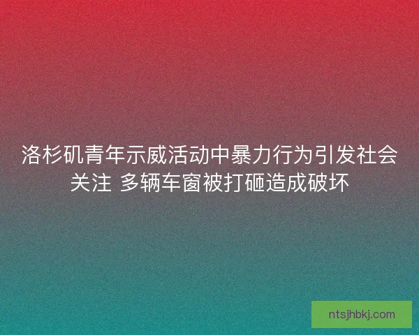 洛杉矶青年示威活动中暴力行为引发社会关注 多辆车窗被打砸造成破坏