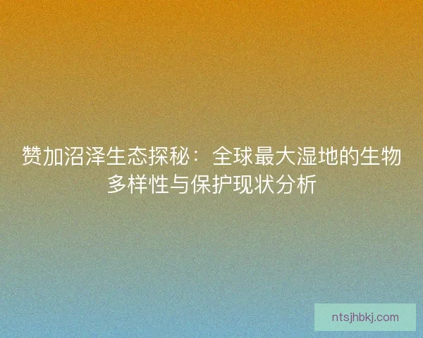 赞加沼泽生态探秘：全球最大湿地的生物多样性与保护现状分析