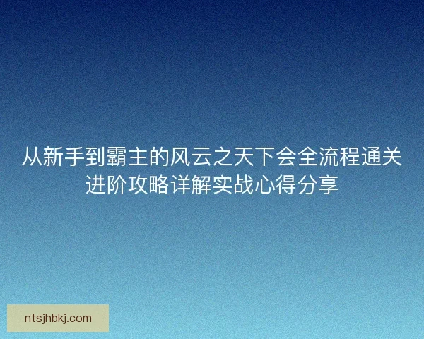 从新手到霸主的风云之天下会全流程通关进阶攻略详解实战心得分享