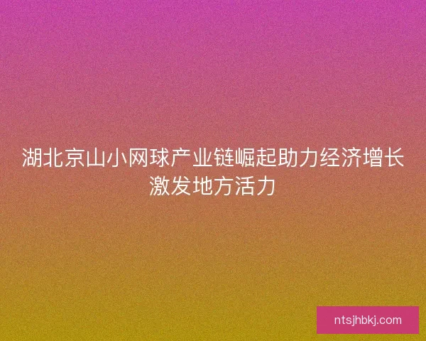 湖北京山小网球产业链崛起助力经济增长激发地方活力