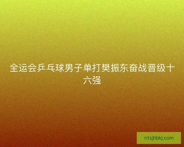 全运会乒乓球男子单打樊振东奋战晋级十六强
