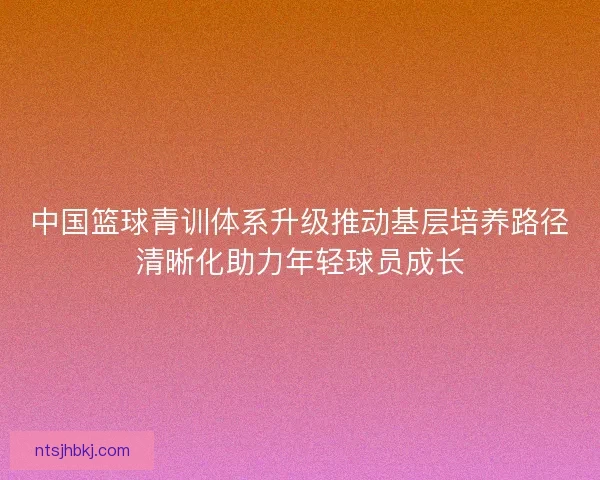 中国篮球青训体系升级推动基层培养路径清晰化助力年轻球员成长